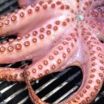 Grilled Octopus & Ceviche Salad