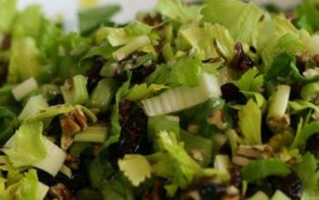 Celery Salad With Cranberries and Pecans