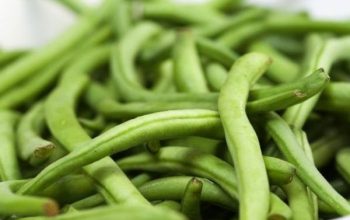 Green beans salad with tuna and mustard
