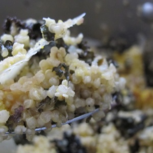Quinoa with Kale & Cauliflower Pesto