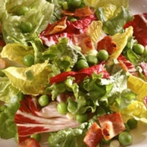 Wilted Greens with Warm Bacon Dressing recipes
