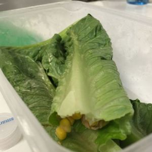 Chipotle tuna and corn lettuce wraps