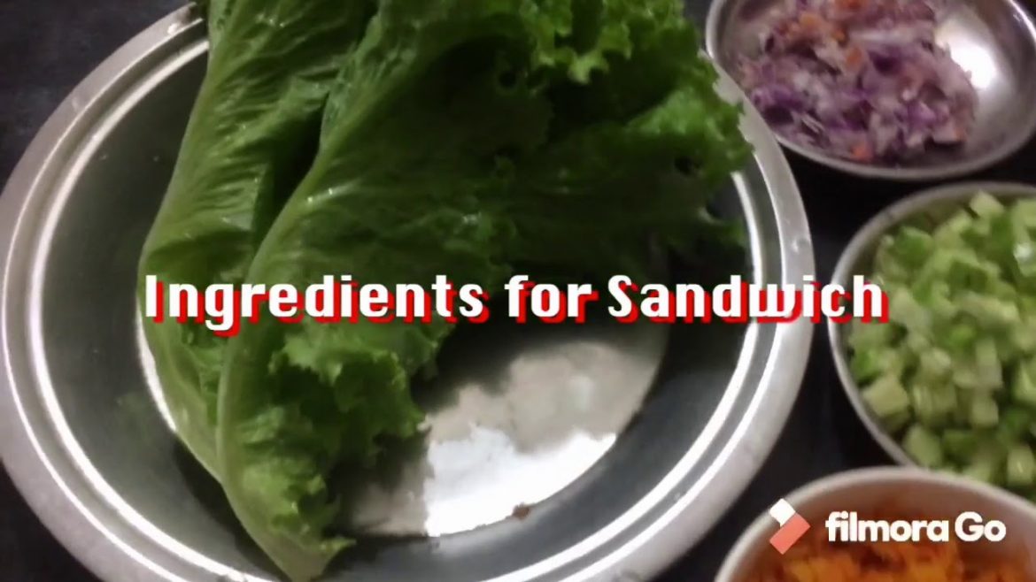 Sandwich Recipe | Veg. Sandwich | How to make Veg. Sandwich at home