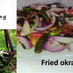 Fried okra salad. A simple vegan recipe
