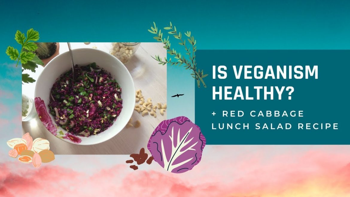 Is veganism healthy? + red cabbage lunch salad recipe