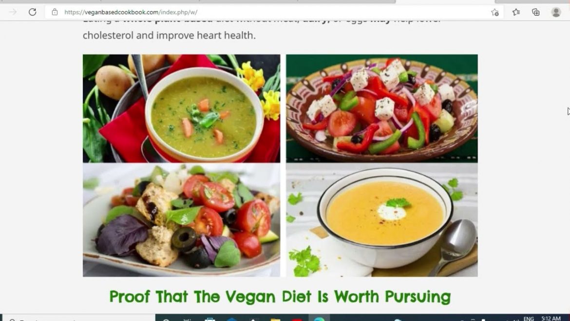 300+ Vegan Based Recipe Cook Book | VEGAN RECIPES | VEGAN SANDWICH RECIPES | VEGAN SALAD RECIPES