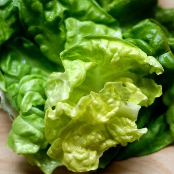 Simple Salad Dressing Recipe