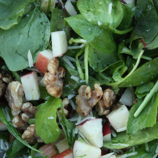 Apple, walnut and parmesan cheese salad