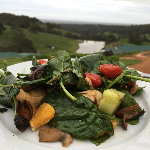 Keto Chicken orange holiday BBQ salad
