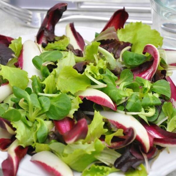 Autumn salad