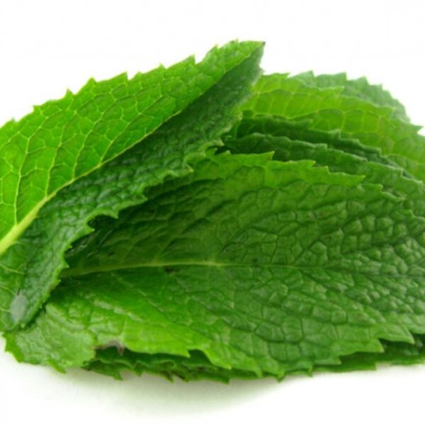 Avocado and Mint Dressing Recipe