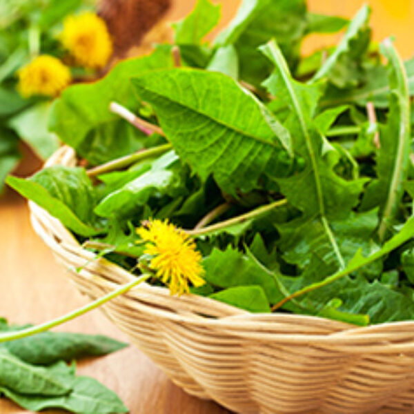 Spring Salad (The Plan)