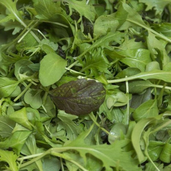Arugula Salad With Lime Vinaigrette