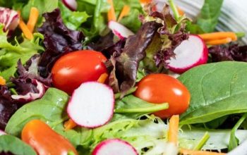 Green Garden Salad with Vinaigrette
