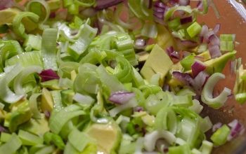 Fennel Avocado Salad [KETO]