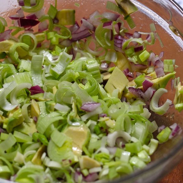 Fennel Avocado Salad [KETO]